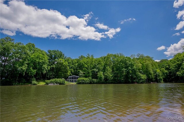 10 Mahon, Ruther Glen, VA 22546 - water view with a heavily wooded area
