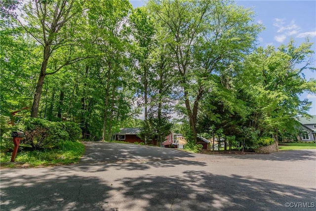 10 Mahon, Ruther Glen, VA 22546 - view of obstructed view of property