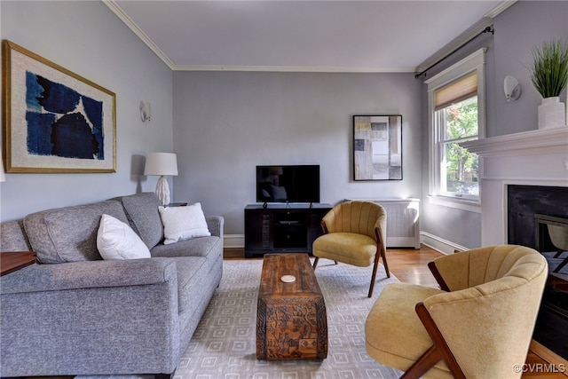 living room featuring a fireplace, wood finished floors, crown molding, and baseboards
