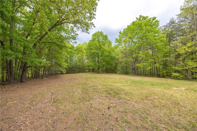 view of yard with a wooded view