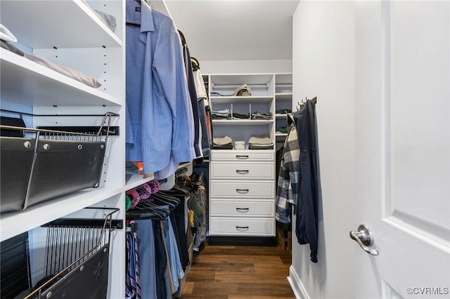 spacious closet with dark wood-type flooring