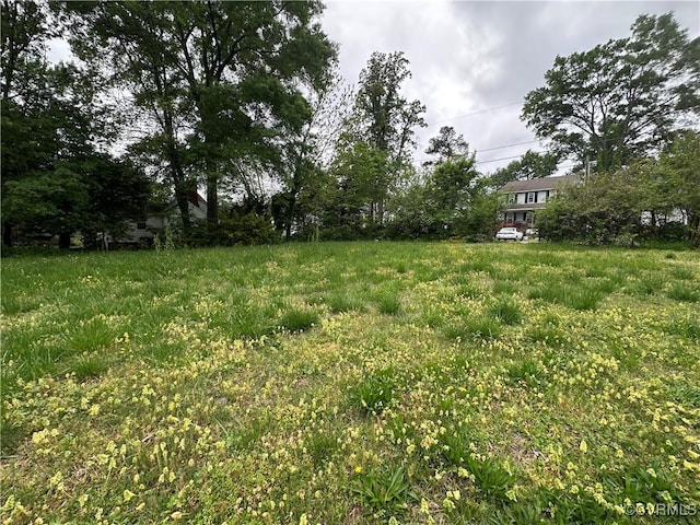 5820 Hermitage Rd, Henrico, VA 23228 - view of yard