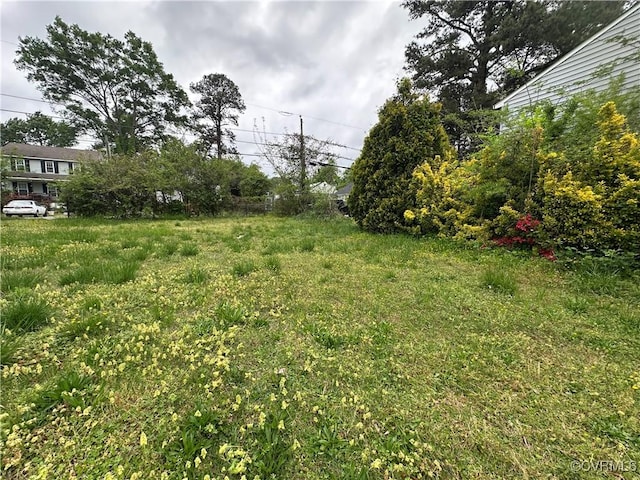 5820 Hermitage Rd, Henrico, VA 23228 - view of yard