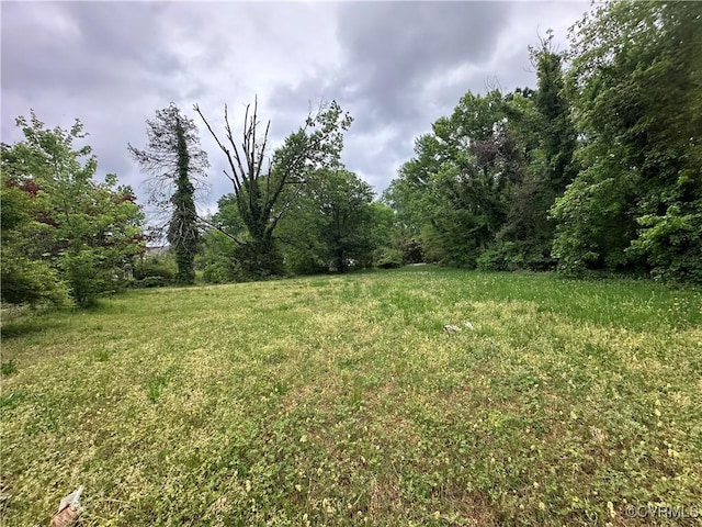 5820 Hermitage Rd, Henrico, VA 23228 - view of yard with a wooded view