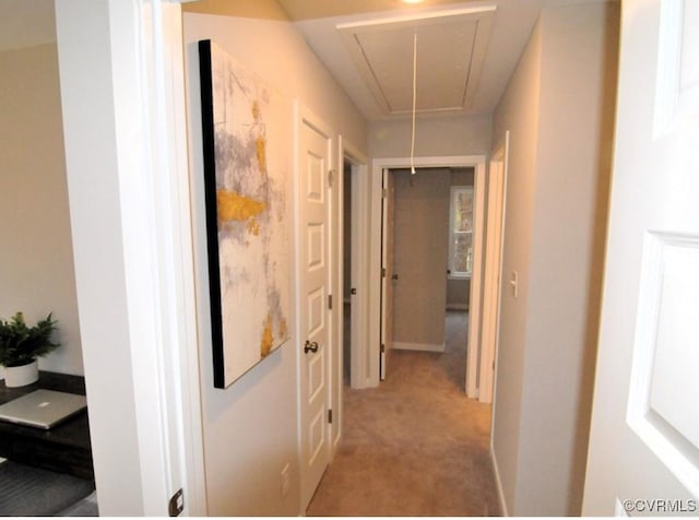 corridor with attic access, carpet, and baseboards