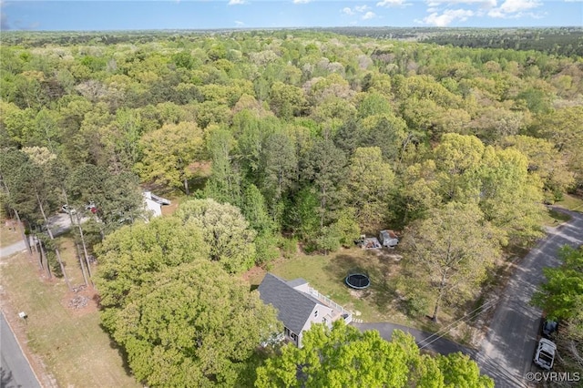 15131 Burruss Ln, Ruther Glen, VA 22546 - aerial view of a forest