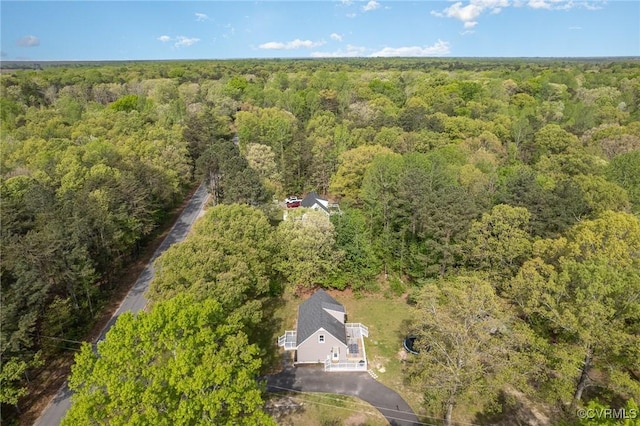 15131 Burruss Ln, Ruther Glen, VA 22546 - view of subject property featuring a forest