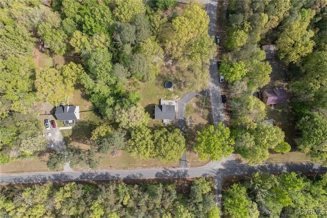 15131 Burruss Ln, Ruther Glen, VA 22546 - view of property location