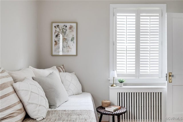 living area featuring radiator