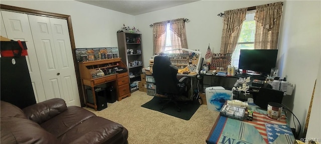 office space with carpet