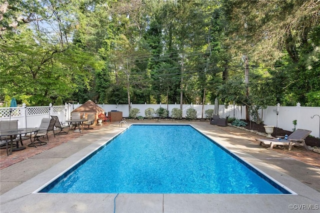 view of pool featuring a fenced backyard, outdoor dining area, a fenced in pool, and a patio area
