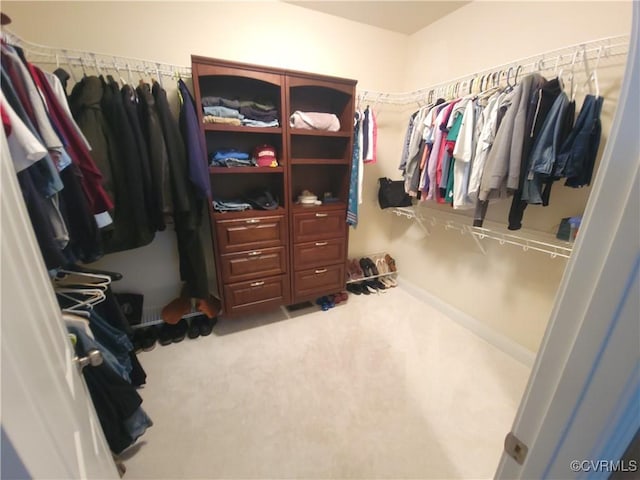 8313 Kalliope Ct, Chesterfield, VA 23838 - spacious closet with carpet