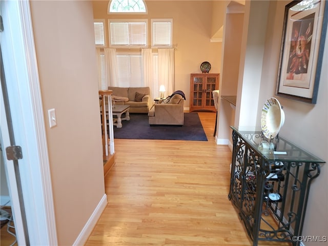 8313 Kalliope Ct, Chesterfield, VA 23838 - hall with light wood-type flooring and baseboards