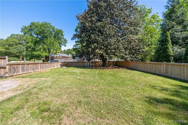 view of yard featuring a fenced backyard