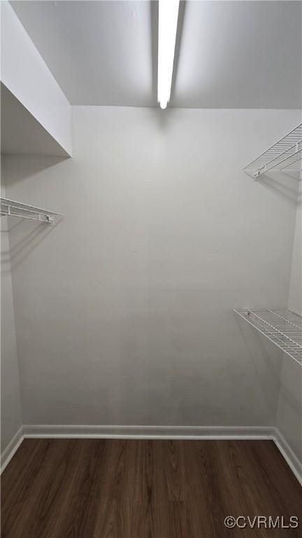 walk in closet featuring wood finished floors