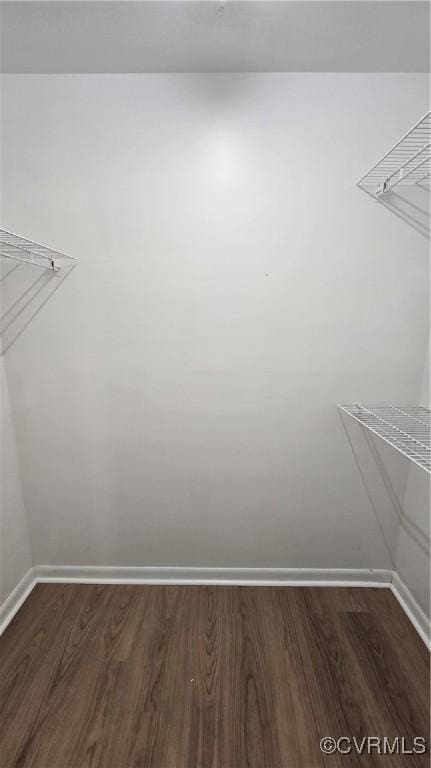 spacious closet featuring dark wood-type flooring