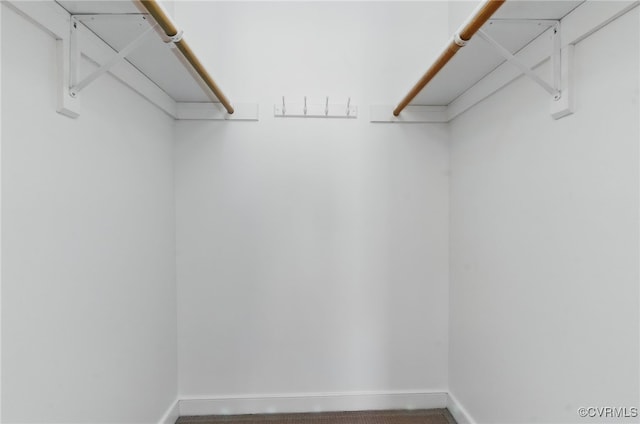view of walk in closet