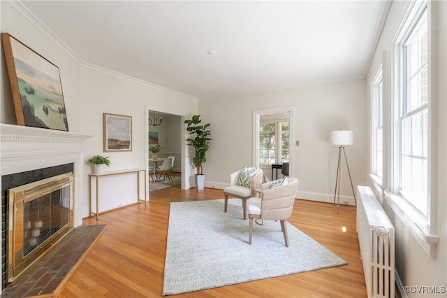living room featuring wood finished floors, ornamental molding, a fireplace with flush hearth, and radiator heating unit