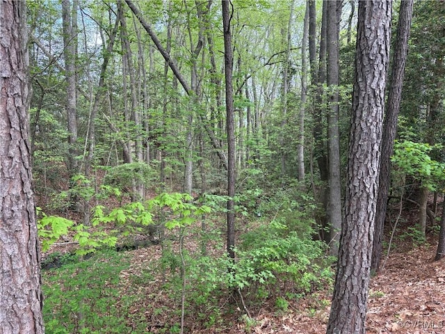 0 Jacks Cove Rd, White Stone, VA 22578