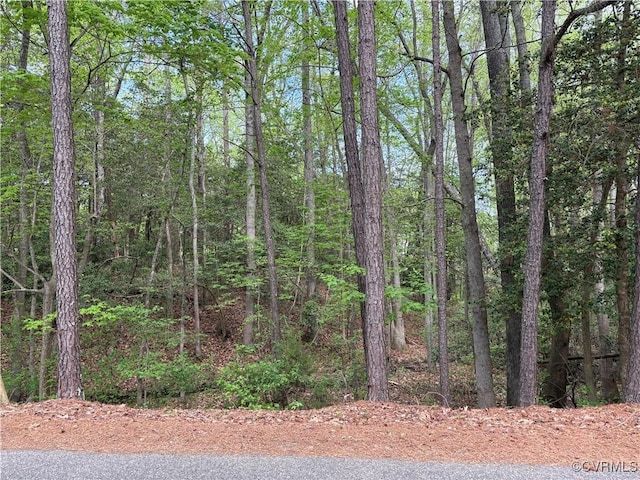 0 Jacks Cove Rd, White Stone, VA 22578