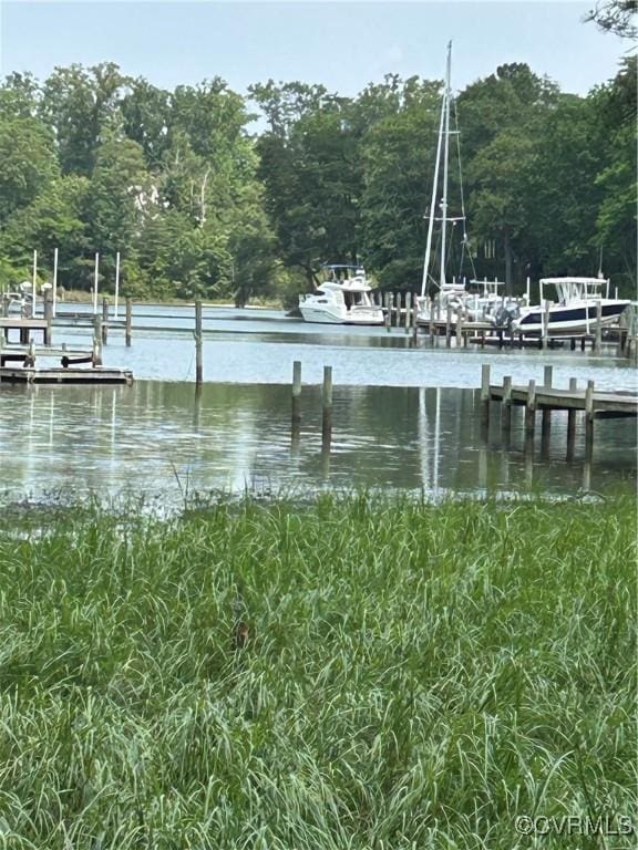 0 Jacks Cove Rd, White Stone, VA 22578