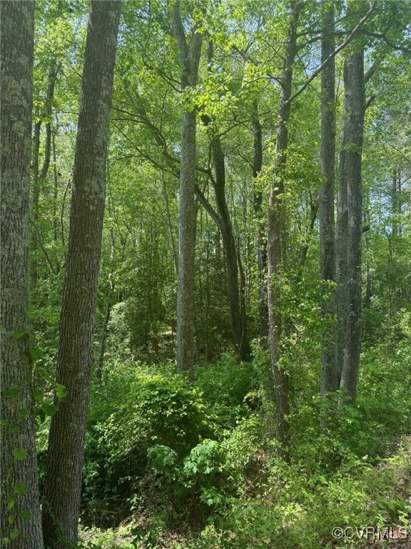 TBD Quaker Rd, Dinwiddie, VA 23841