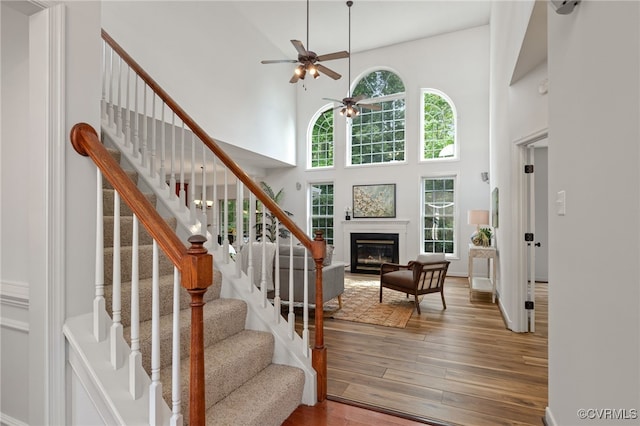 staircase featuring a glass covered fireplace, a high ceiling, a ceiling fan, and hardwood / wood-style floors