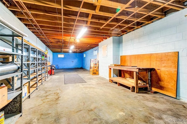 unfinished basement featuring concrete block wall