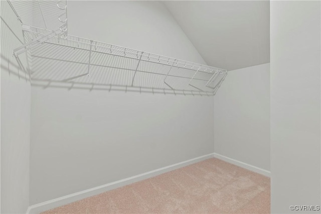 spacious closet with carpet and vaulted ceiling