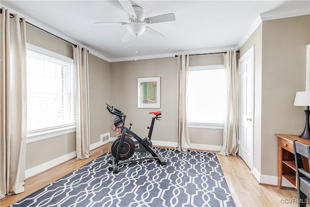 workout room featuring ceiling fan, visible vents, crown molding, light wood-type flooring, and baseboards