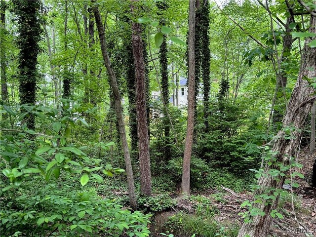 view of wooded area