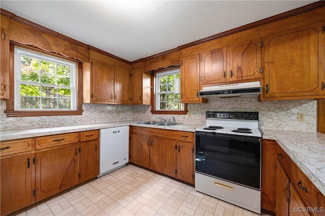 kitchen with decorative backsplash, electric range oven, under cabinet range hood, a sink, and dishwasher