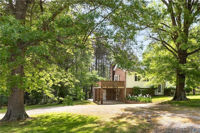 view of yard featuring a carport and driveway