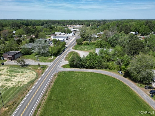 bird's eye view