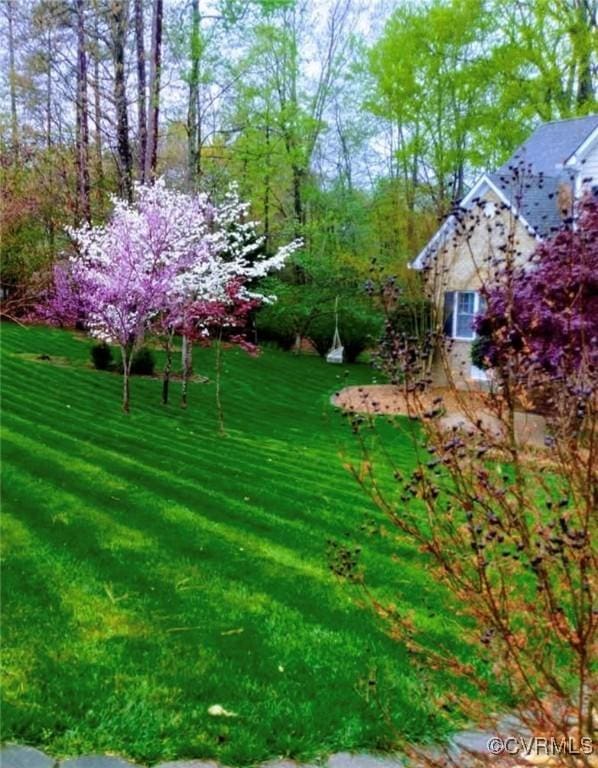 7324 Rosemead Ln, Chesterfield, VA 23838 - view of yard