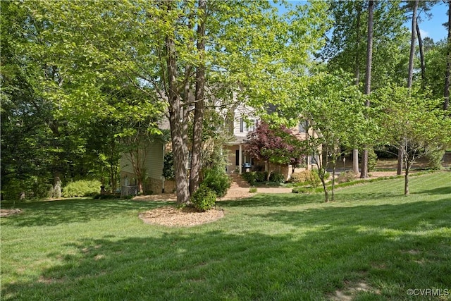 7324 Rosemead Ln, Chesterfield, VA 23838 - view of yard