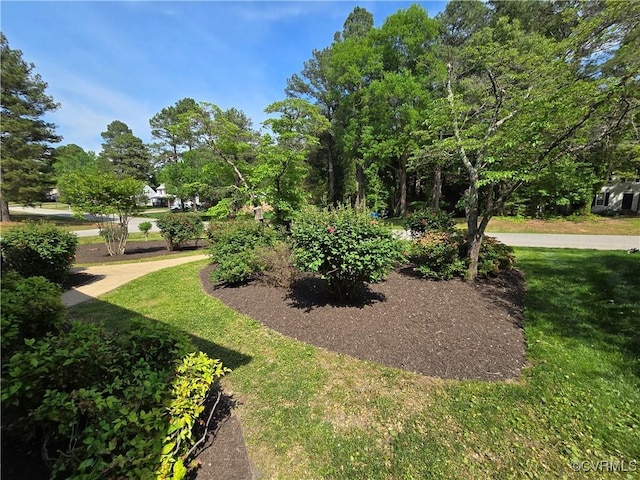 8600 Chester Forest Ln, North Chesterfield, VA 23237 - view of community with a lawn
