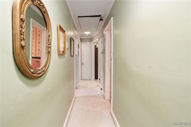 corridor featuring baseboards, attic access, and carpet flooring