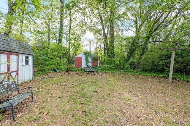 view of yard with a storage unit and an outdoor structure