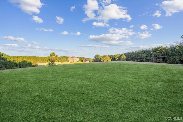 20145 Hunnicut Rd, Dinwiddie, VA 23803 - view of yard featuring a rural view and a forest view
