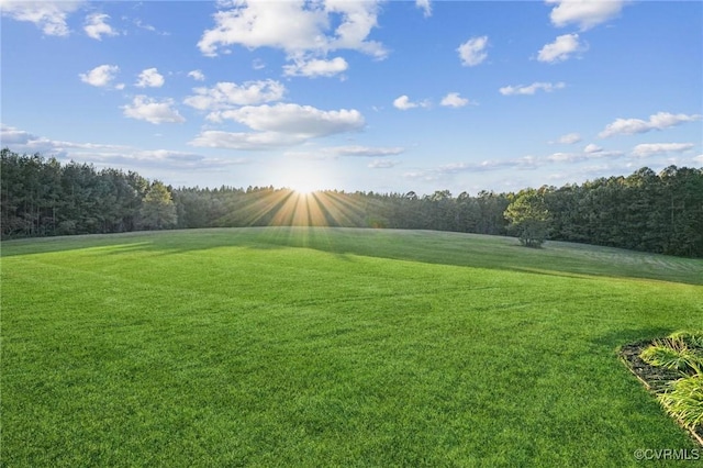 20145 Hunnicut Rd, Dinwiddie, VA 23803 - view of yard