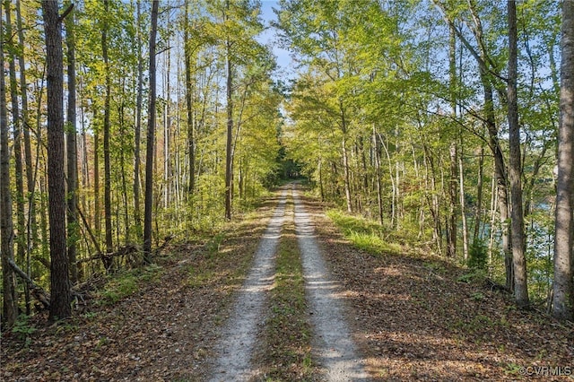 20145 Hunnicut Rd, Dinwiddie, VA 23803 - view of road featuring a wooded view