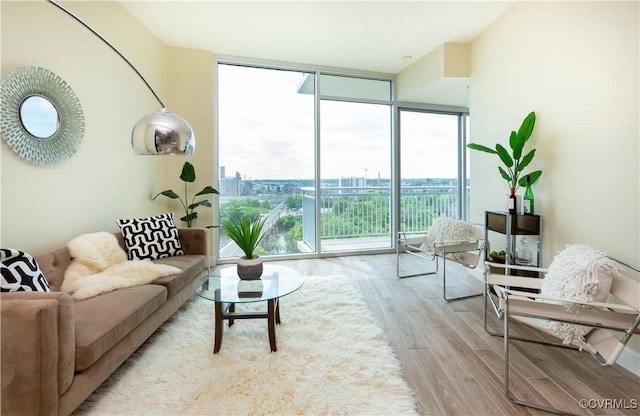 living room featuring a wall of windows and wood finished floors