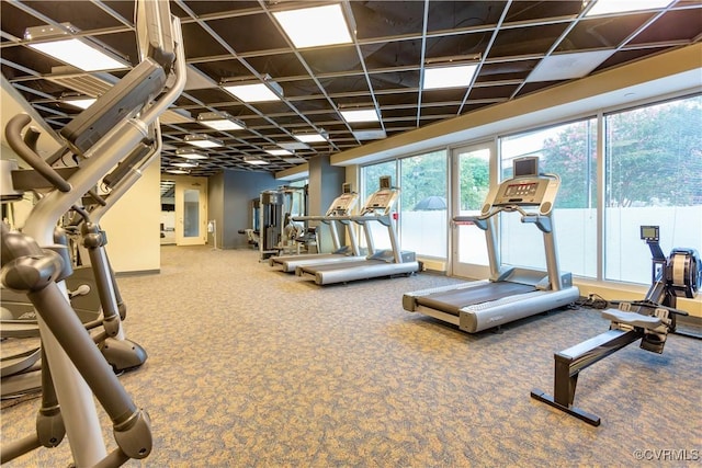 workout area featuring carpet flooring and baseboards