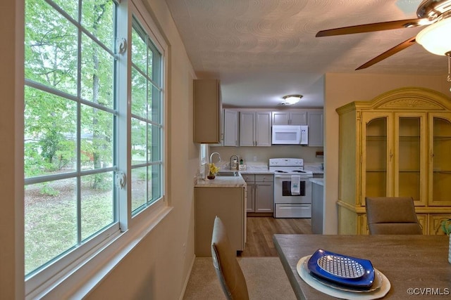 1423 Bull Run Dr, Henrico, VA 23231 - kitchen featuring a ceiling fan, wood finished floors, a sink, light countertops, and white appliances