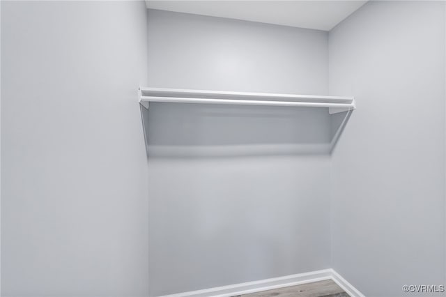 spacious closet featuring wood finished floors