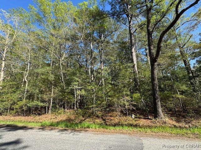 2.29AC Godfrey Bay Rd, Cobbs Creek, VA 23035