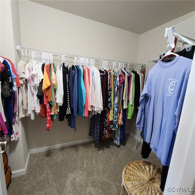 8133 Belton Cir, Mechanicsville, VA 23116 - walk in closet featuring carpet flooring