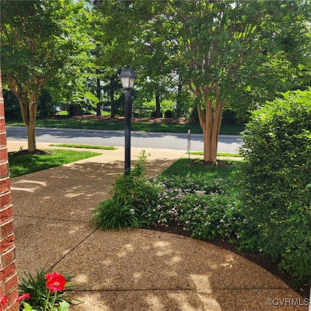 8133 Belton Cir, Mechanicsville, VA 23116 - view of yard