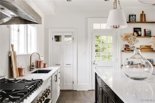 7 River Rd, Richmond, VA 23226 - kitchen featuring exhaust hood, a sink, high end stainless steel range, dark wood finished floors, and ornamental molding